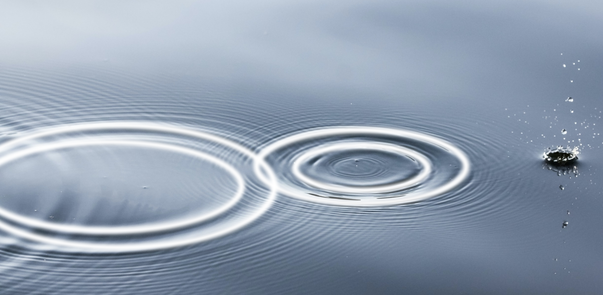 5 способов увлажнить воздух в доме 